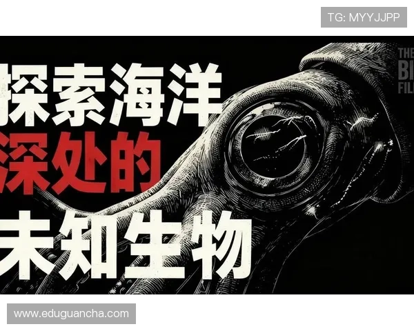 金鲨银鲨：揭秘海洋深处最珍贵的宝藏与奇幻的海底生物世界